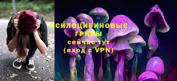 ALPHA PVP Костерёво