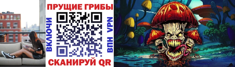 Купить где  Арамиль  Псилоцибиновые грибы GOLDEN TEACHER 